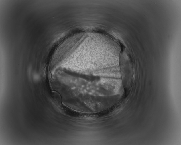 X0000086770495200705041511