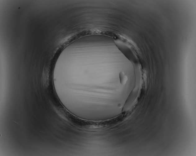 X0000086770496200705041511