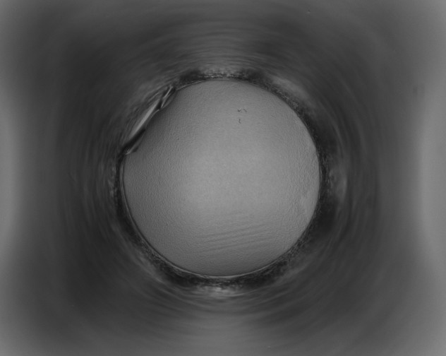 X0000086770498200705041511