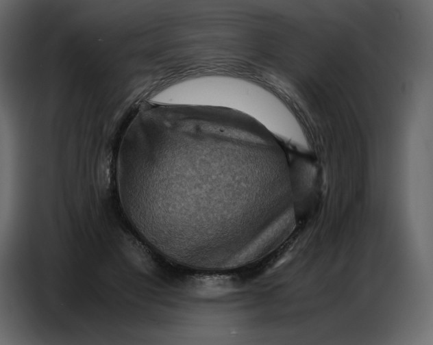 X0000086770501200705041511