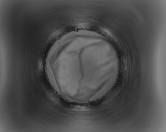X0000086770502200705041511