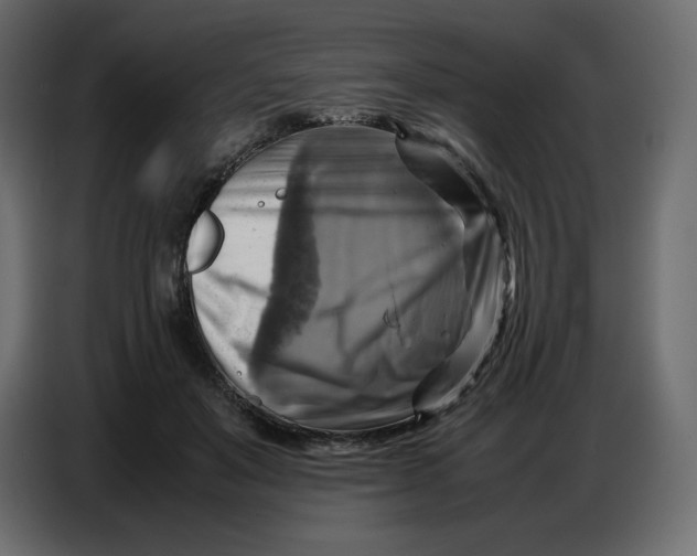 X0000086770503200705041511