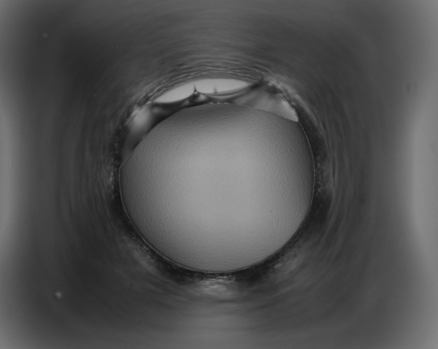 X0000086770505200705041511