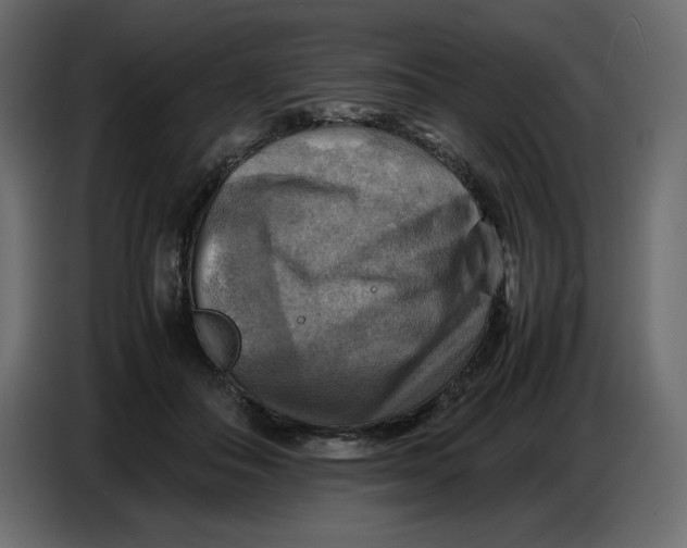 X0000086770506200705041511