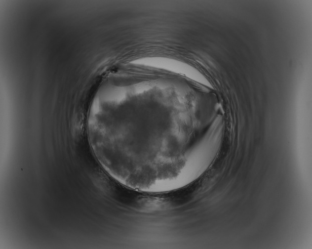 X0000086770507200705041511