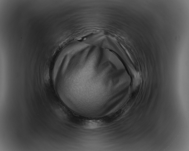X0000086770508200705041511