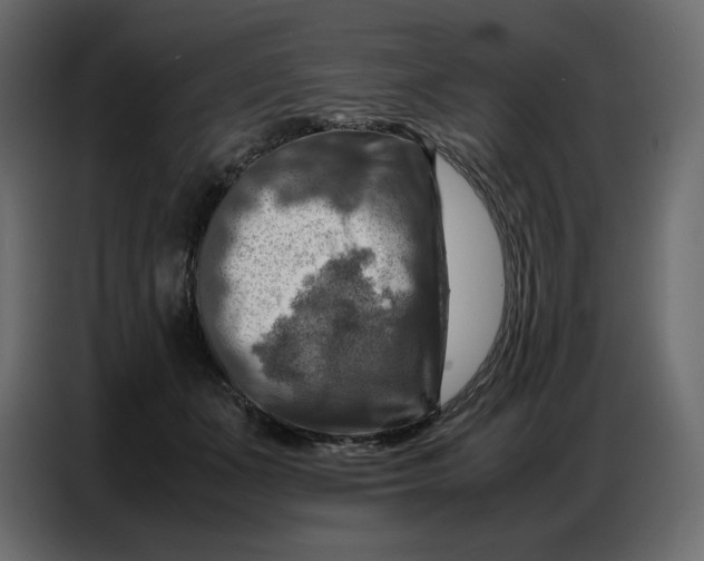 X0000086770511200705041511