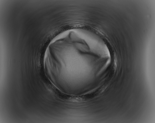 X0000086770512200705041510