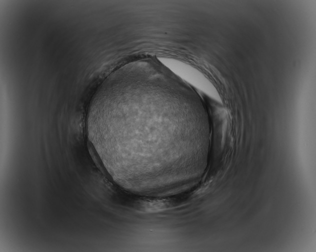X0000086770513200705041510