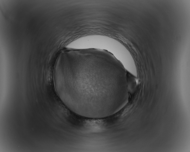 X0000086770517200705041510