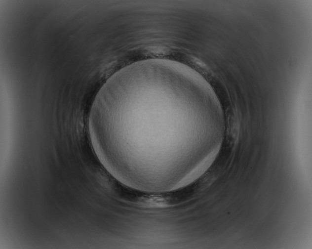 X0000086770518200705041510