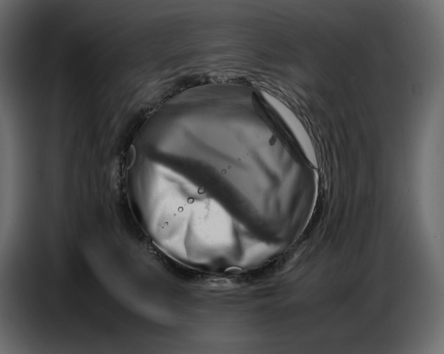 X0000086770519200705041510