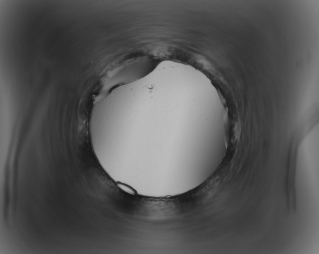 X0000086770521200705041510