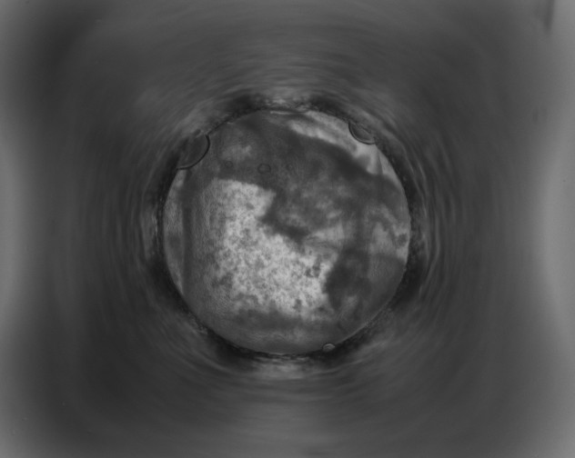 X0000086770523200705041510