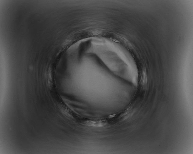 X0000086770524200705041510