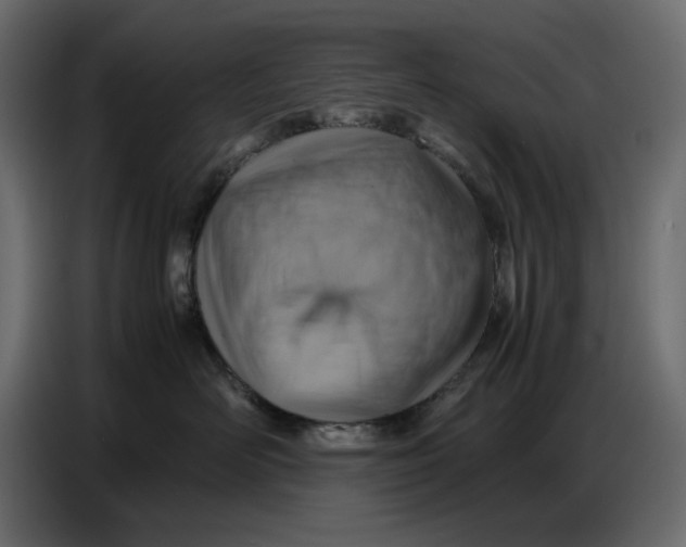 X0000086770526200705041510