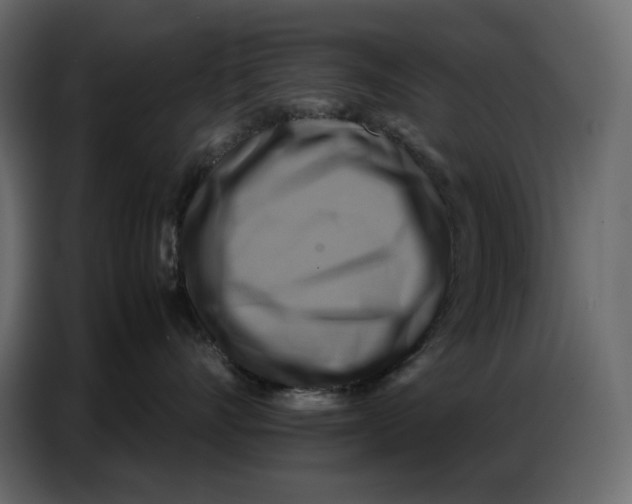 X0000086770528200705041510