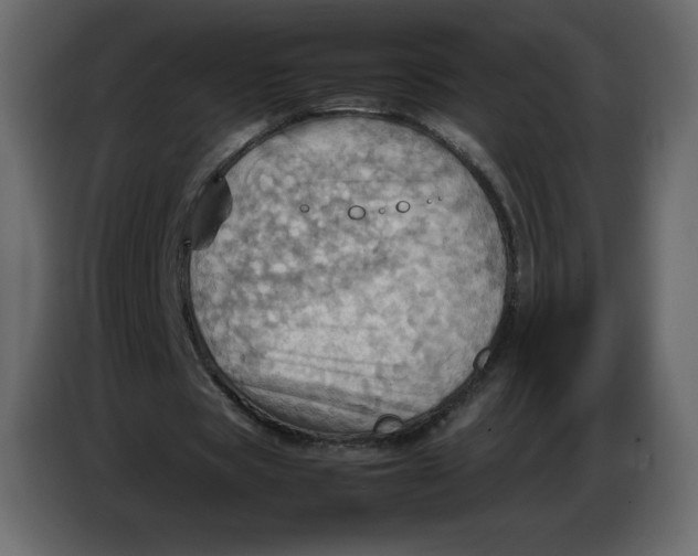 X0000086770529200705041510