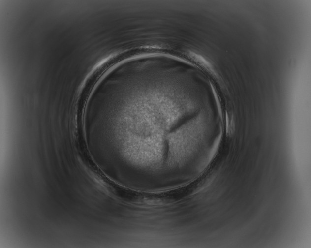 X0000086770531200705041510