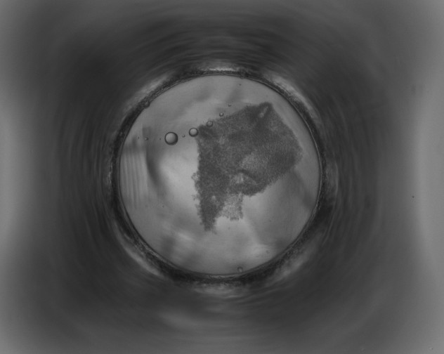 X0000086770533200705041510