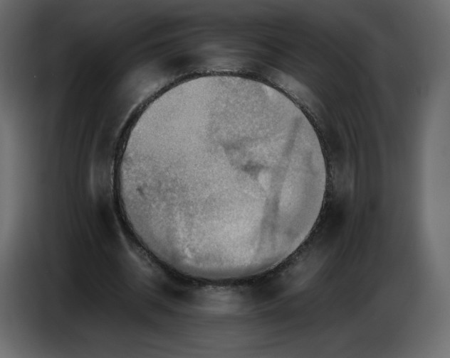 X0000086770534200705041510
