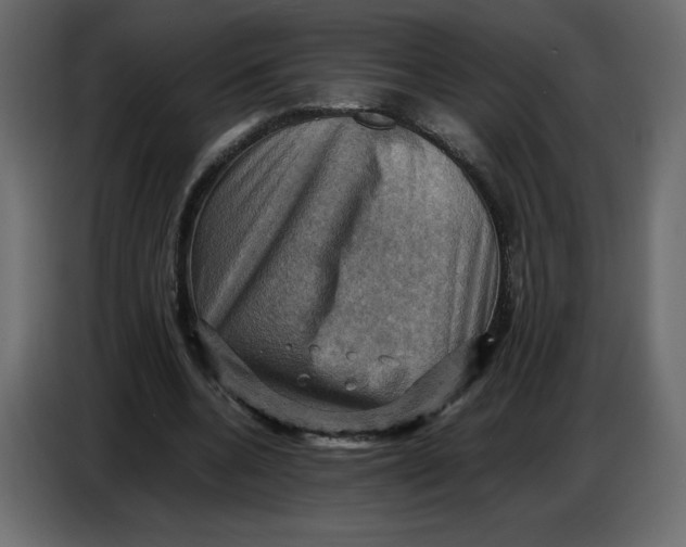 X0000086770536200705041510