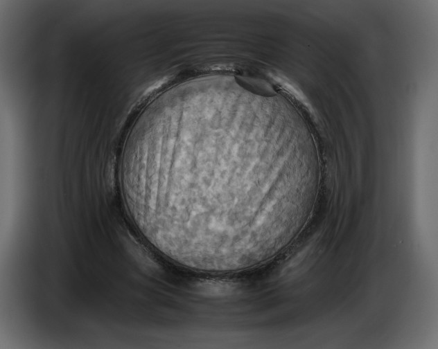 X0000086770537200705041510