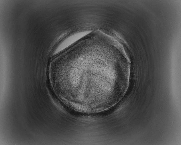X0000086770538200705041510
