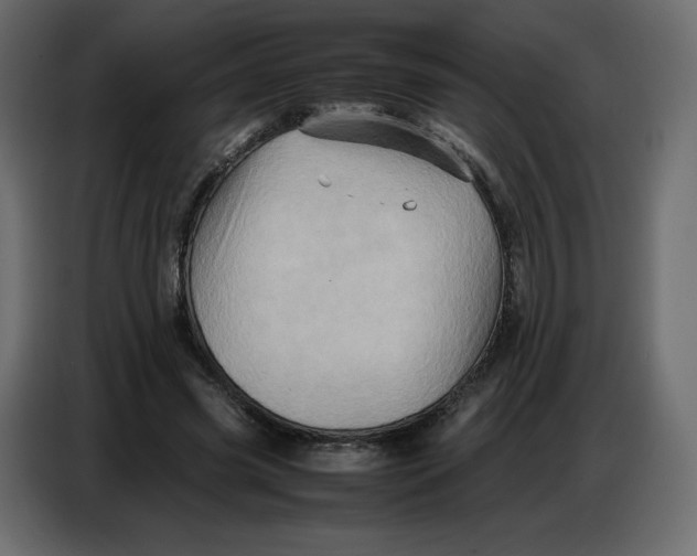 X0000086770541200705041510
