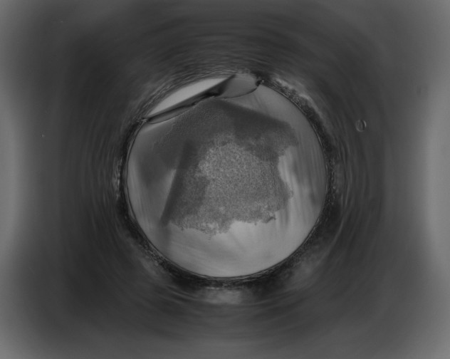 X0000086770545200705041510
