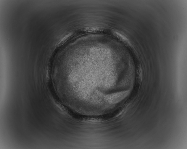 X0000086770546200705041510