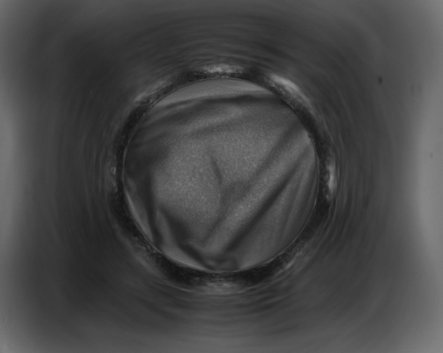 X0000086770547200705041510