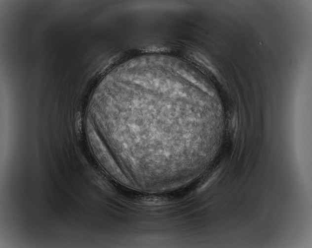 X0000086770549200705041510