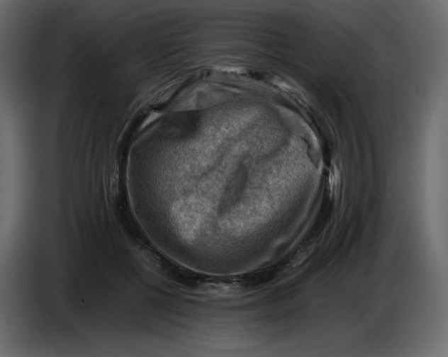 X0000086770552200705041510