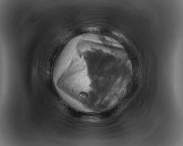X0000086770553200705041510
