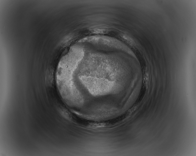 X0000086770554200705041510