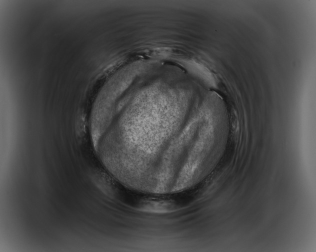 X0000086770555200705041510