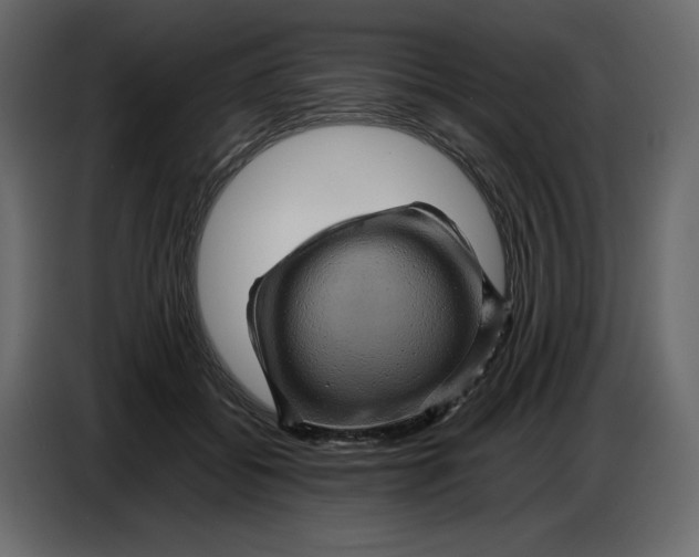 X0000086770556200705041510