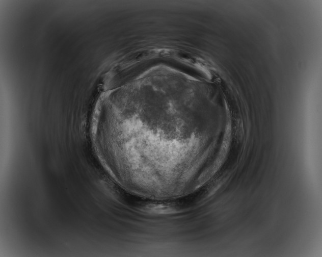 X0000086770557200705041510