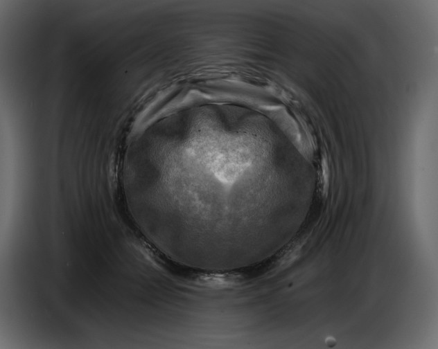 X0000086770558200705041510
