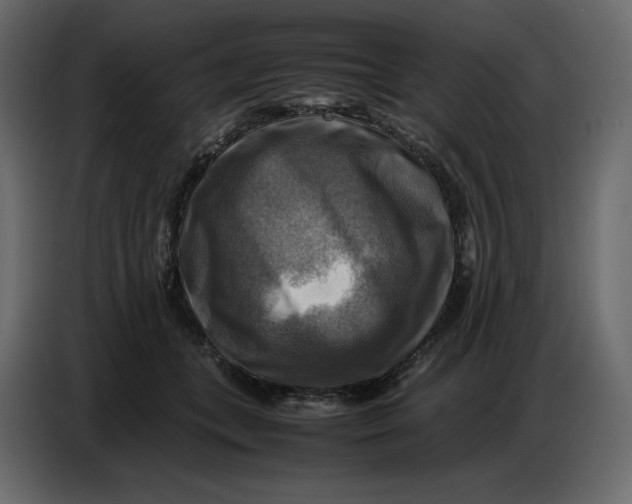 X0000086770559200705041510