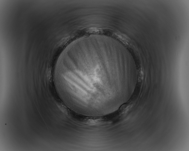 X0000086770560200705041510