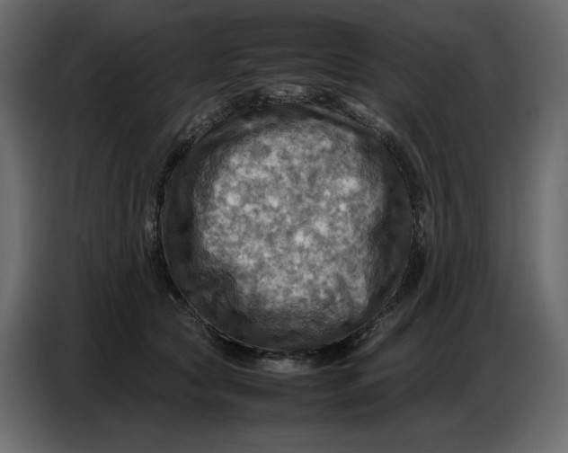 X0000086770561200705041510