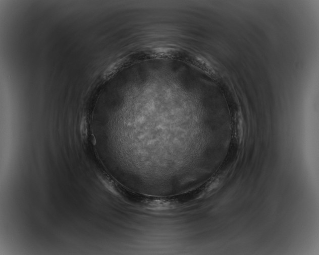 X0000086770562200705041510
