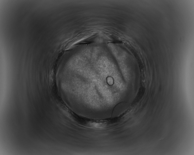 X0000086770563200705041510