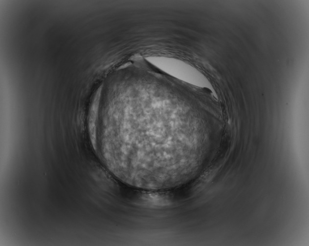 X0000086770565200705041510