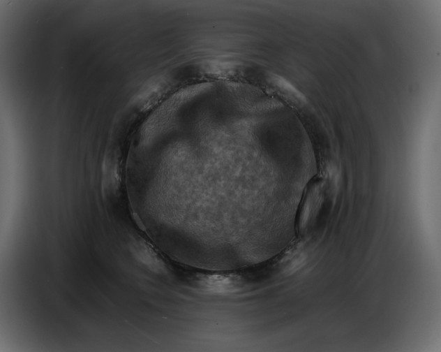 X0000086770566200705041510