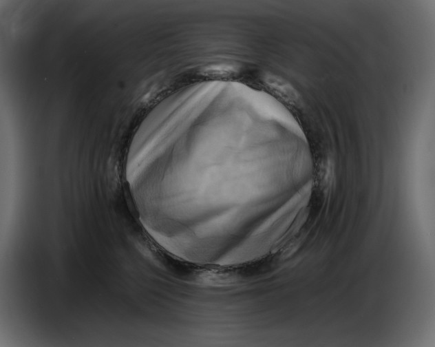 X0000086770568200705041510