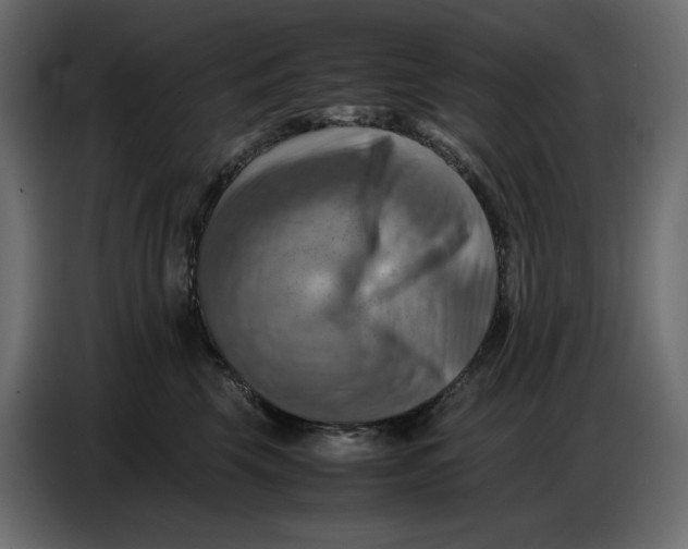 X0000086770569200705041510