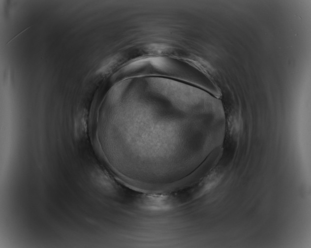 X0000086770570200705041510